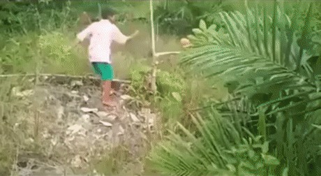 Мальчик тестирует своё новое мачете