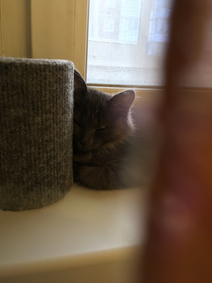 :3 , ,  