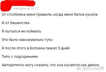 Что значит словил белку. Смотреть фото Что значит словил белку. Смотреть картинку Что значит словил белку. Картинка про Что значит словил белку. Фото Что значит словил белку