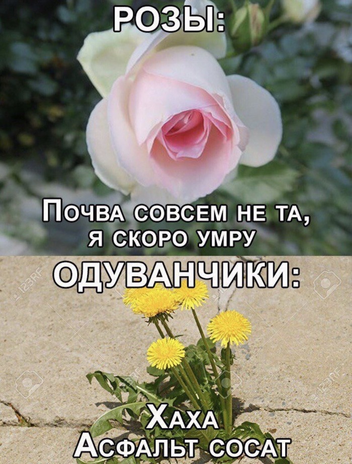 155440653111727742.jpg