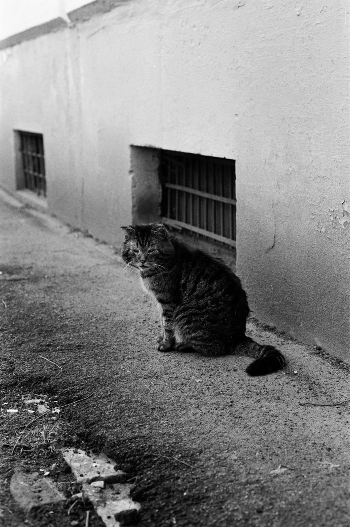 ������� ���