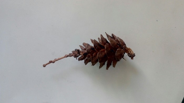 Когда все приходится делать самому