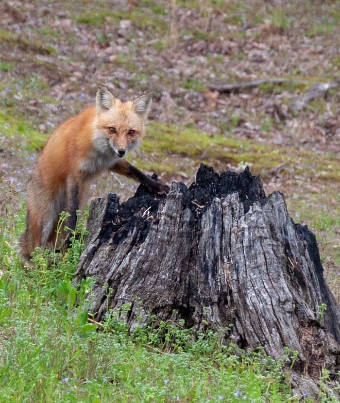 � ��� ��� ����! ^.^