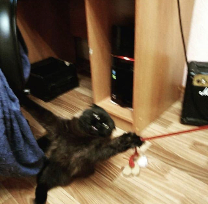 ����� � �����