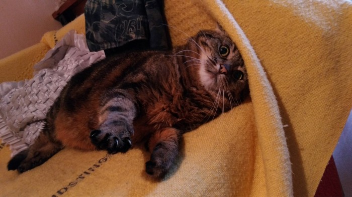 Уходи, человек