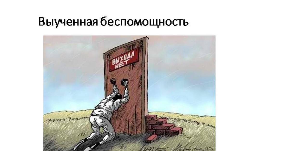 Беспомощный это. Мартин Селигман выученная беспомощность. Эксперимент Мартина Селигмана выученная беспомощность. Выученная беспомощность. Синдром выученной беспомощности.