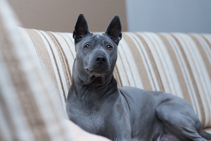 Моё кареглазое чудо!) Юна.