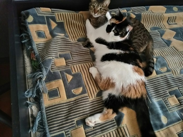 Поглащение...