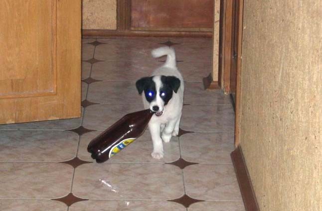 ��-���������� ������� �������