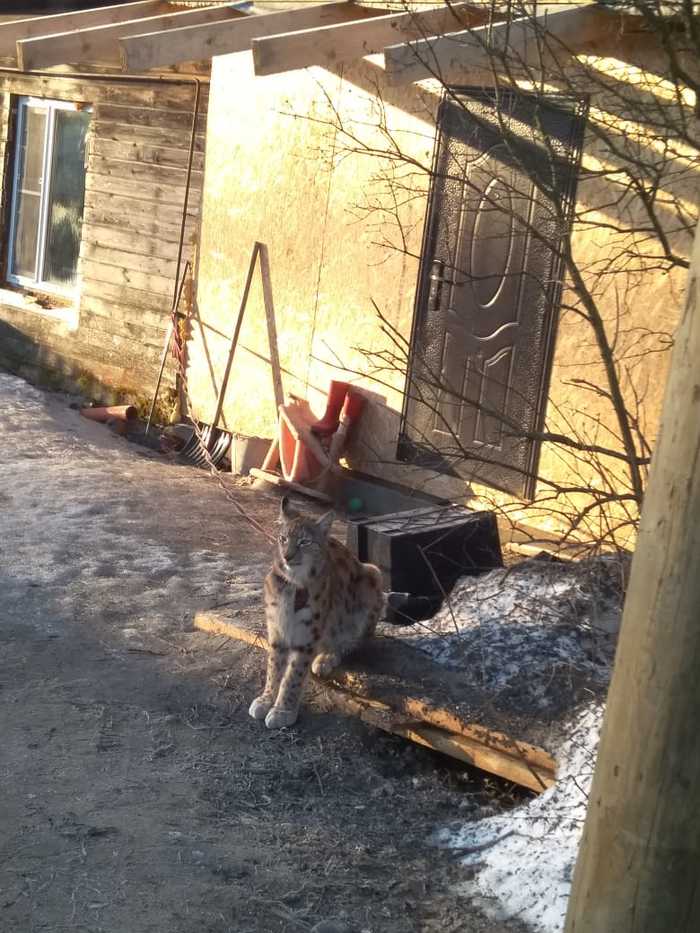 �������� ����� � �������