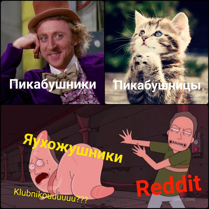 ������ �������