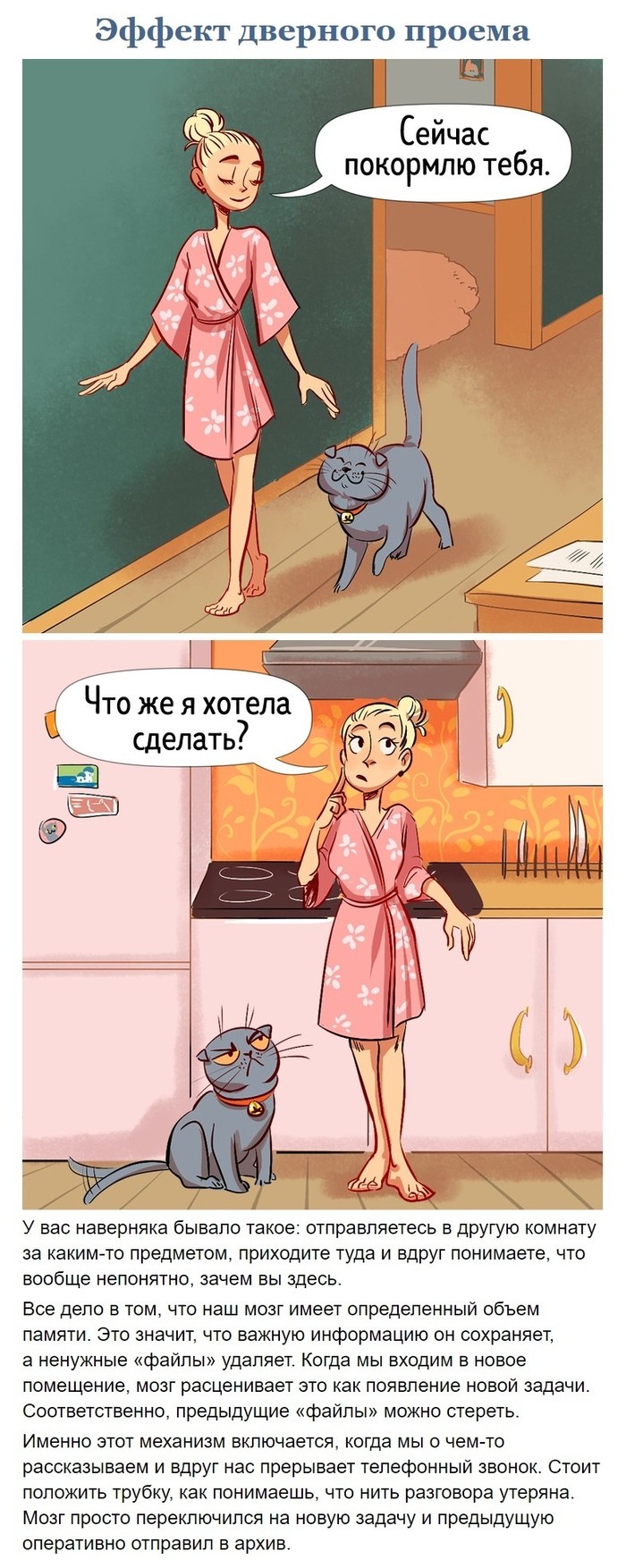 билет на один бесплатный мозг
