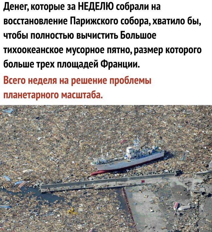 � ����� � ���� ����