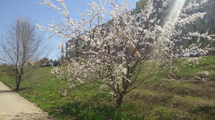 ����� ����� �� ���� ������� ������ � �� ������