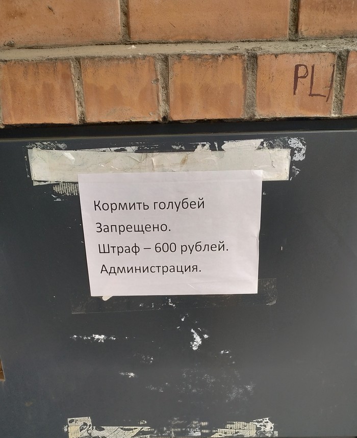 Это вообще законно?