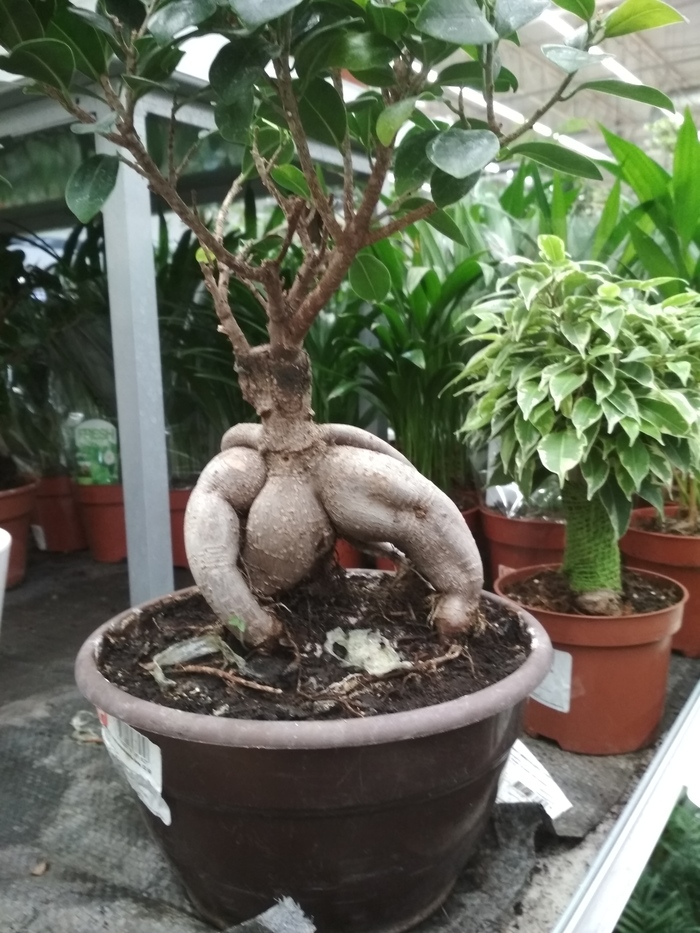 ����� � ������ ������ ������, ��� � ����