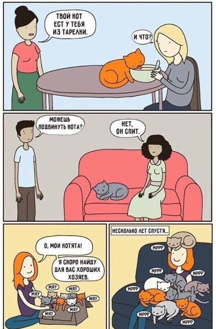 Вот она—котомания