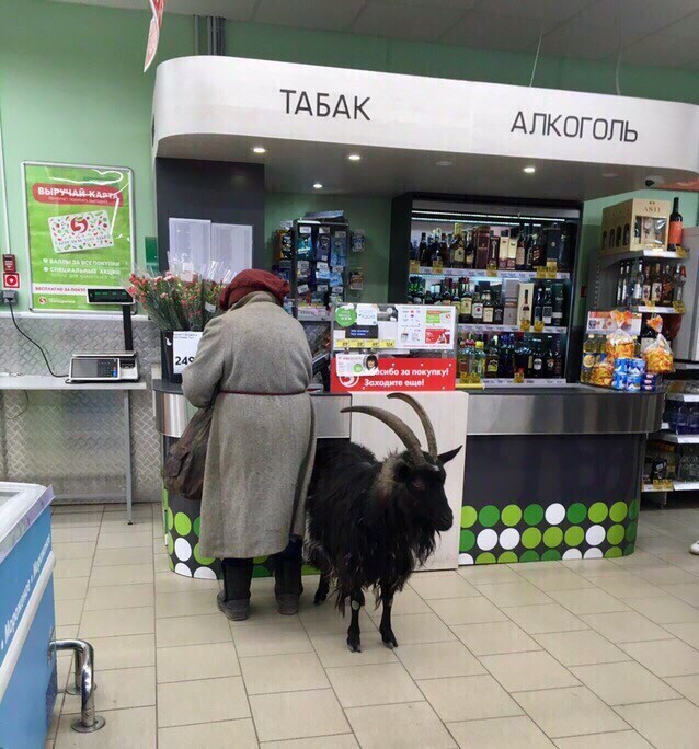 ������� � ���������