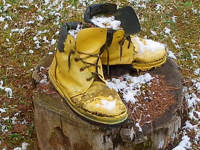 ���������� �� �������