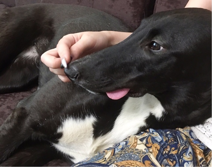 "����� �� ������, �������� ���������..."