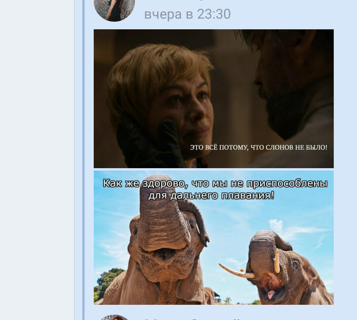 Слоны Серсеи