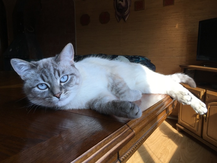 Глаза цвета неба