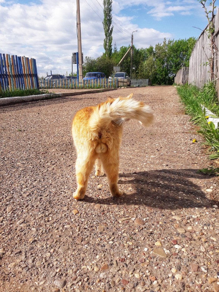 ����� ������ ���������������� ����