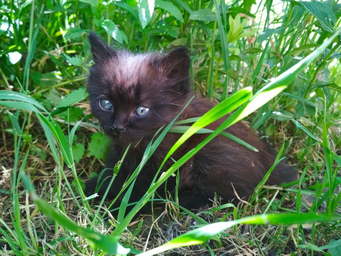 Моя тучка | Пикабу