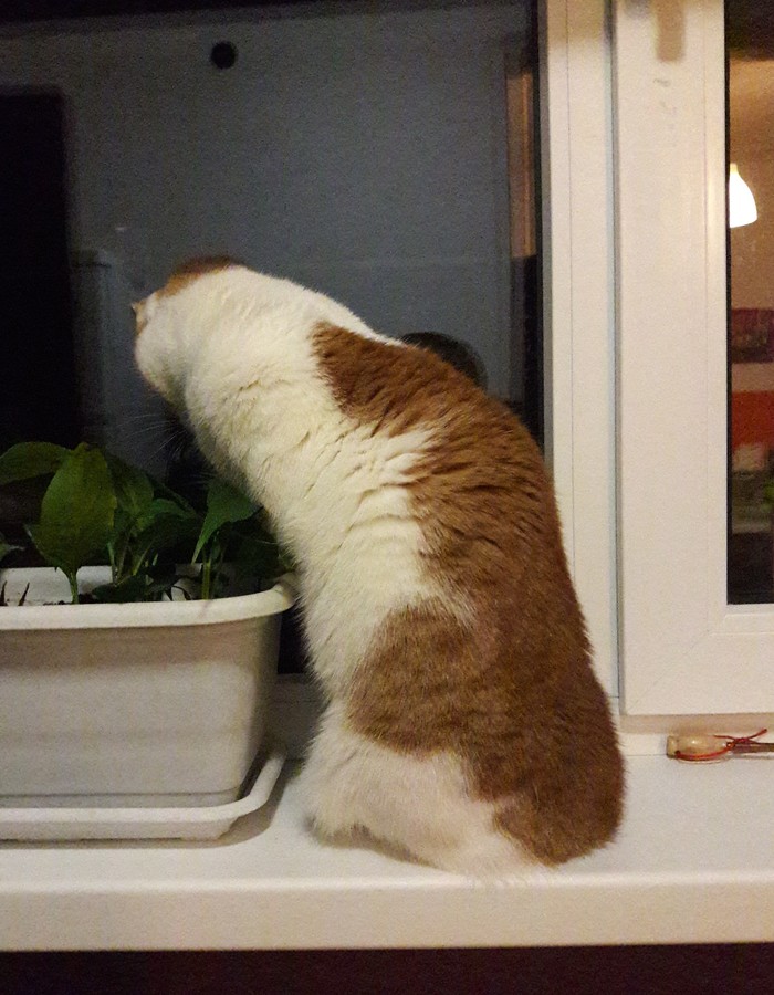     , , , , 