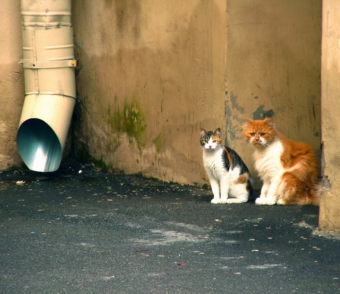 20 ��� � �����