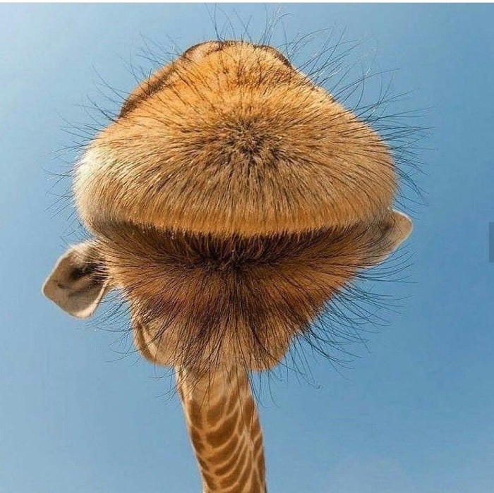 Показалось).