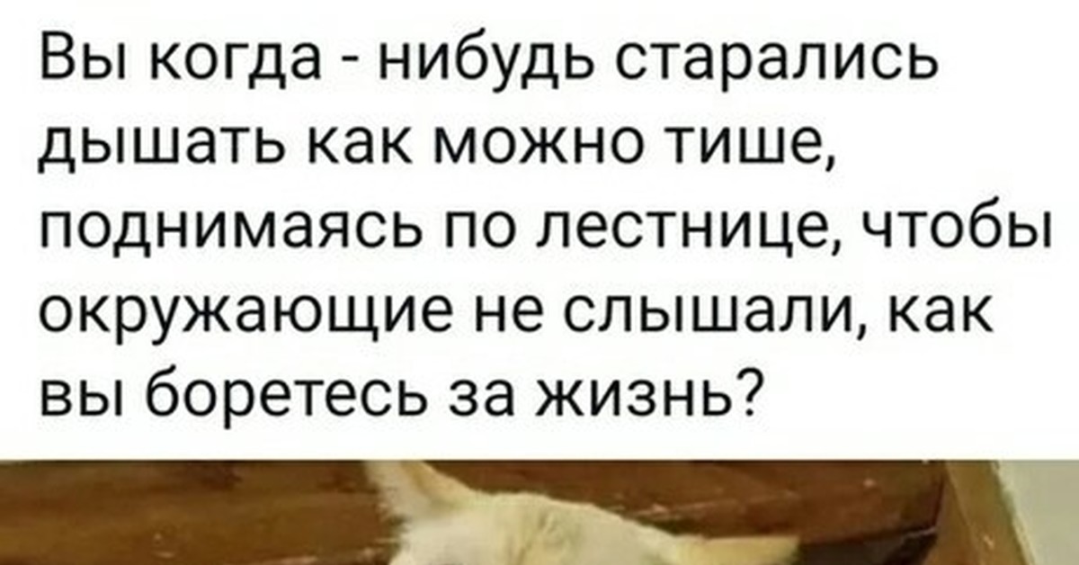 Казалось что кто то тихо вздыхал. Вы когда нибудь старались дышать как можно тише. Вы когда нибудь старались дышать тише. Старайся дышать. Поднимаясь по лестнице стараюсь не дышать.