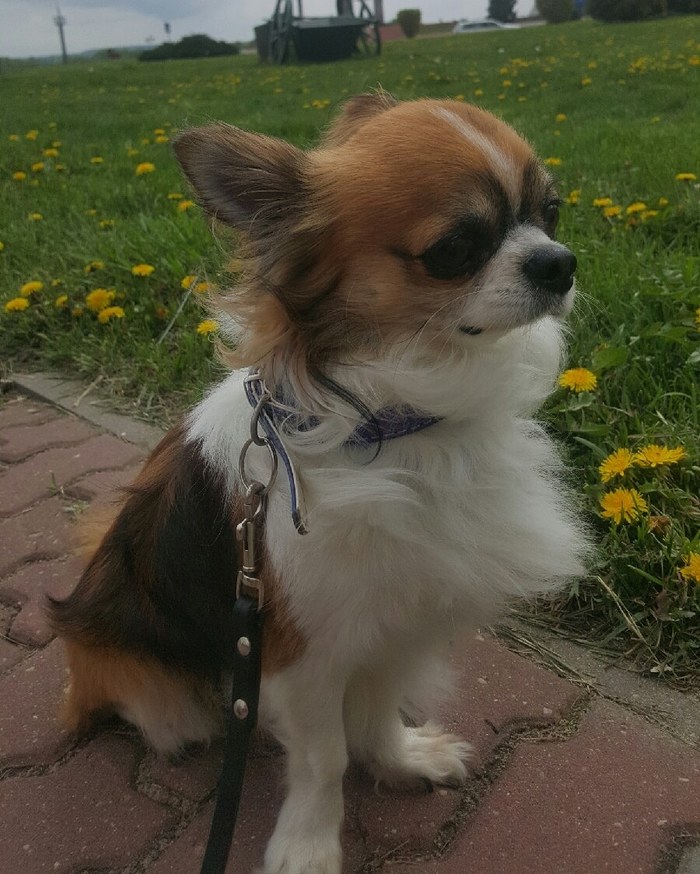 ������� ������ �������� ������