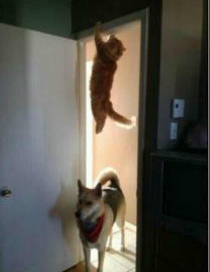 ����� � ���� ����� ���� �������� ���������