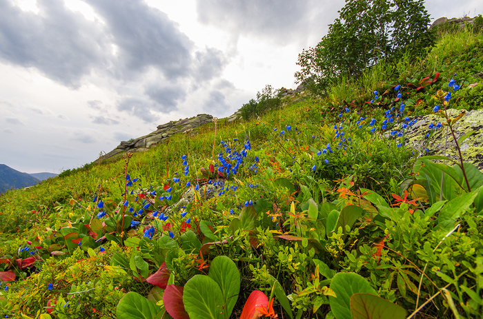 К чему привели наши эксперименты Ергаки, Фотография, Активный отдых, Отдых на природе, Отдых в России, Длиннопост, Горы