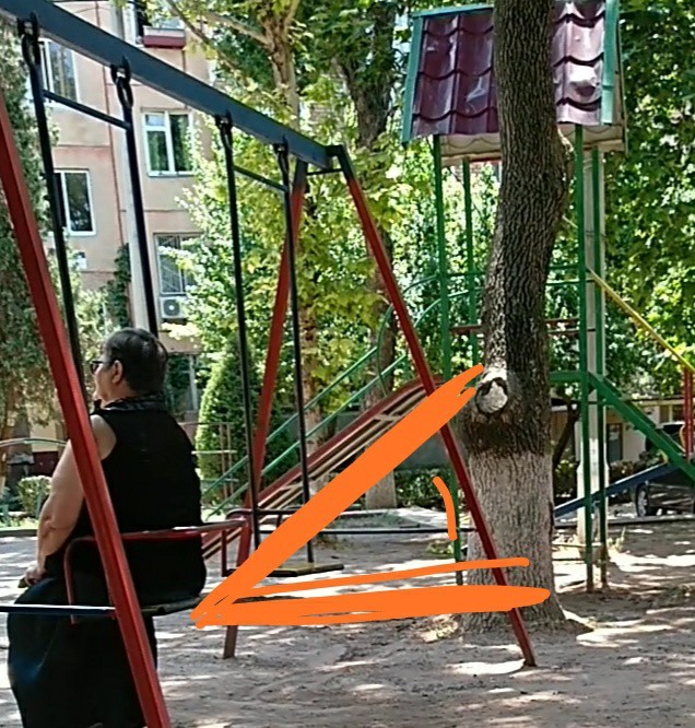 "�� ������� ���� � �����, � �� ������������"