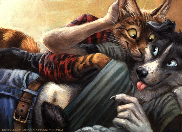 Cat and Dog , Furry gay, Kenket