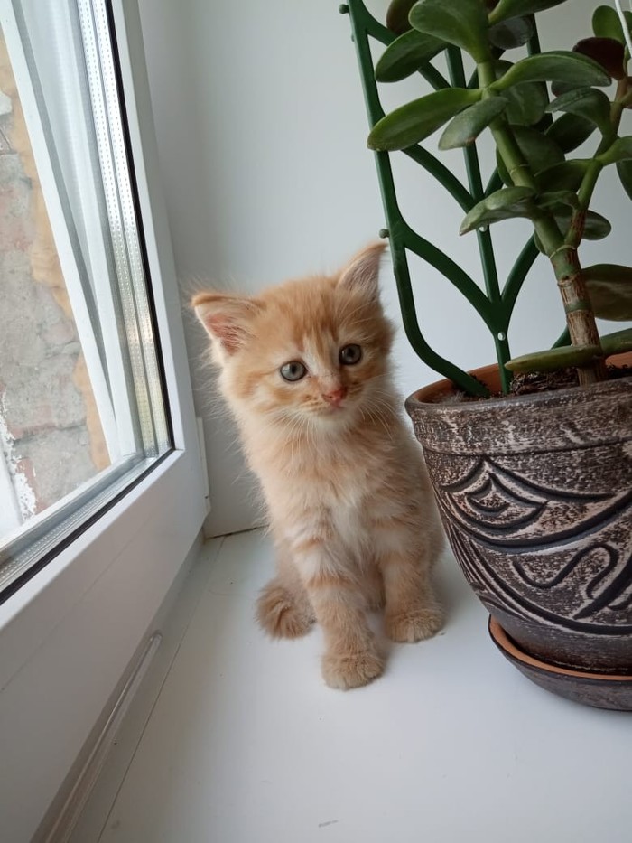 ���. ����� ���� ���� ���. ��� ��������