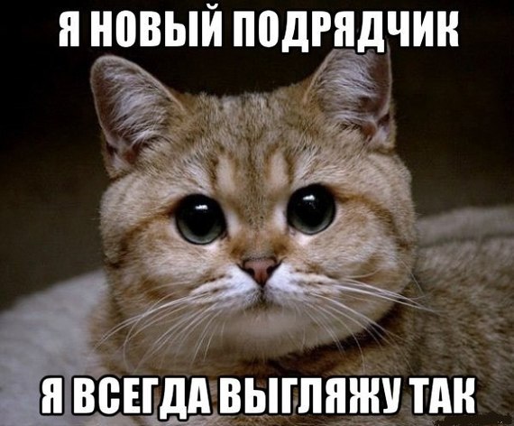 ,     =) 