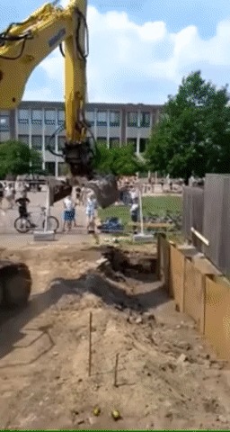 Подайте мячик!