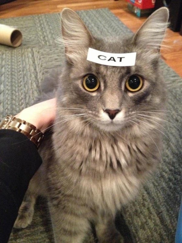 Как выглядит 99% комментариев в коде