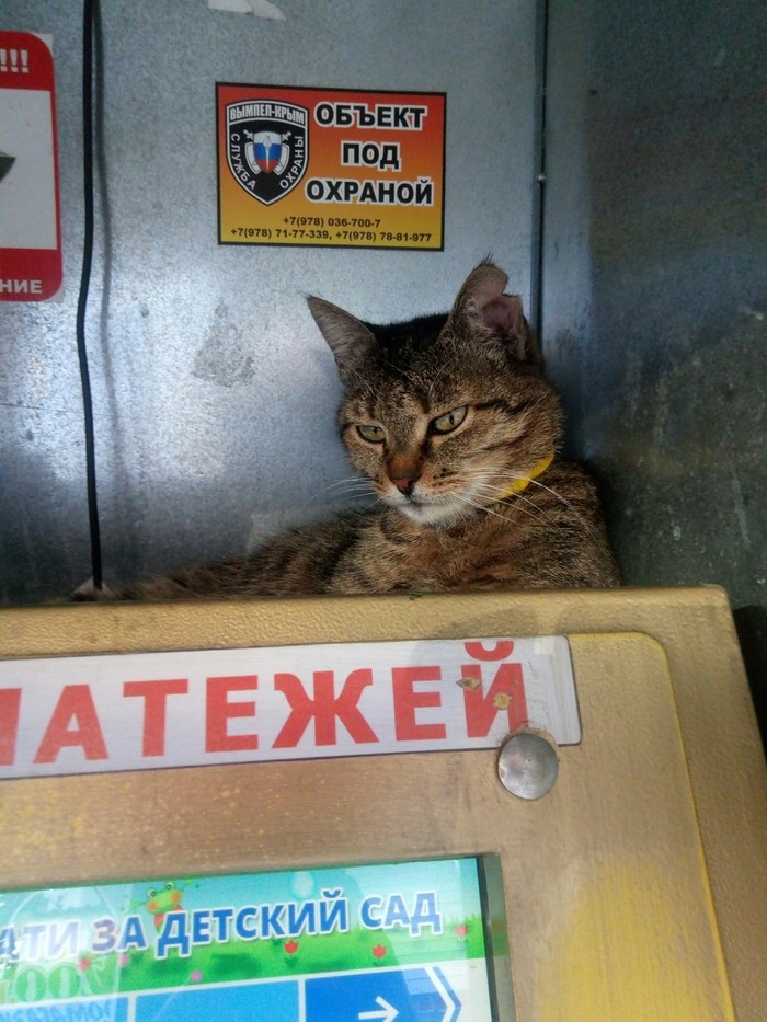 Объект под охраной!