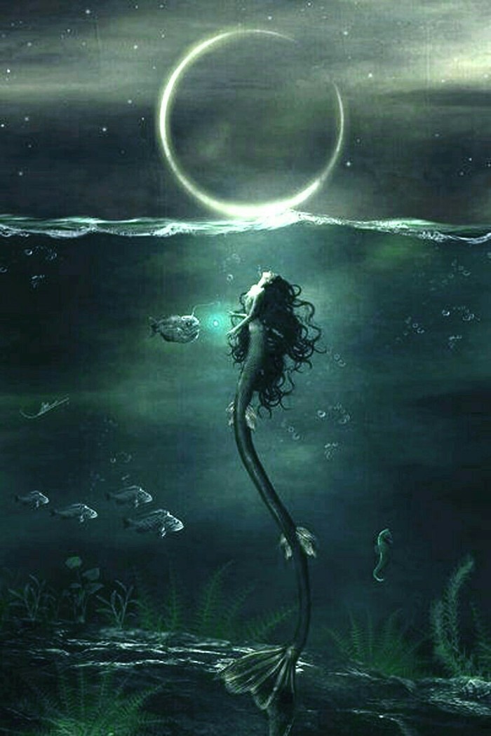  ,  , , , 