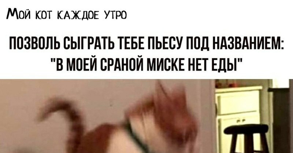 Я бы спел тебе да не умею