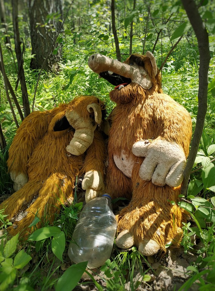 ��������� ��-������������.���� ��� �� ���.