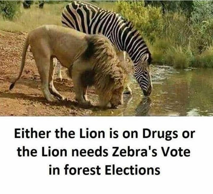 Политическое