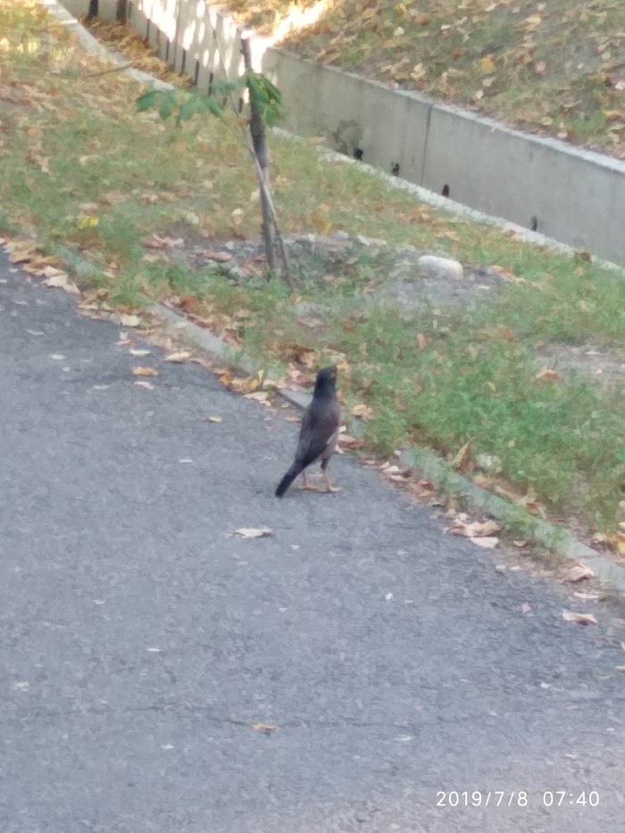   ? ,  , 