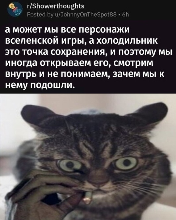 1562556519128566795.jpg