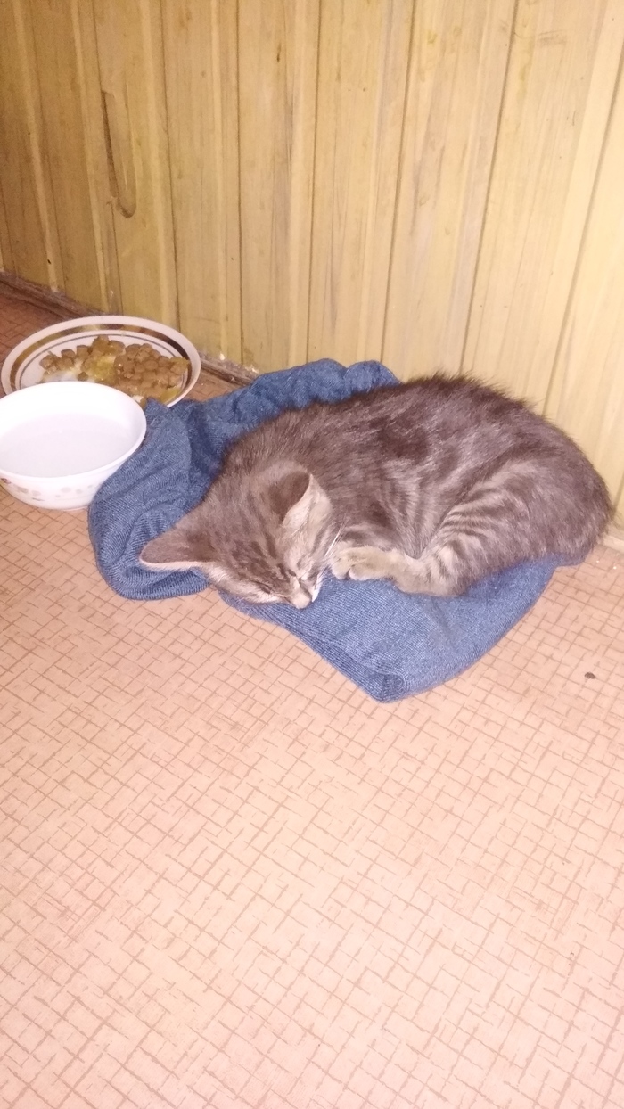 �����........�������� ������.