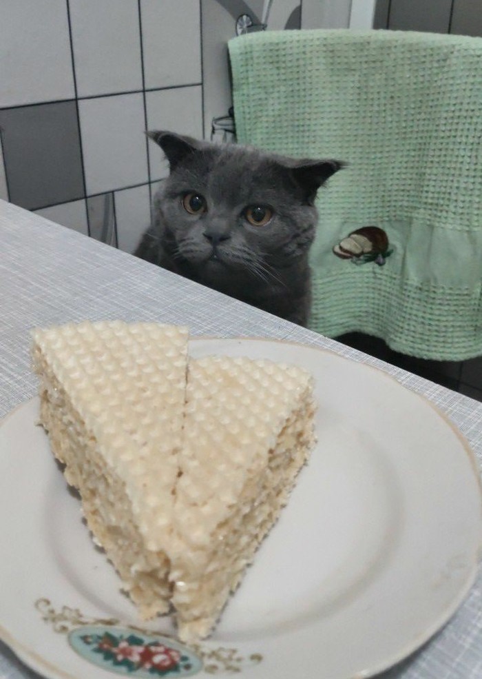 Жрешь что-ли?